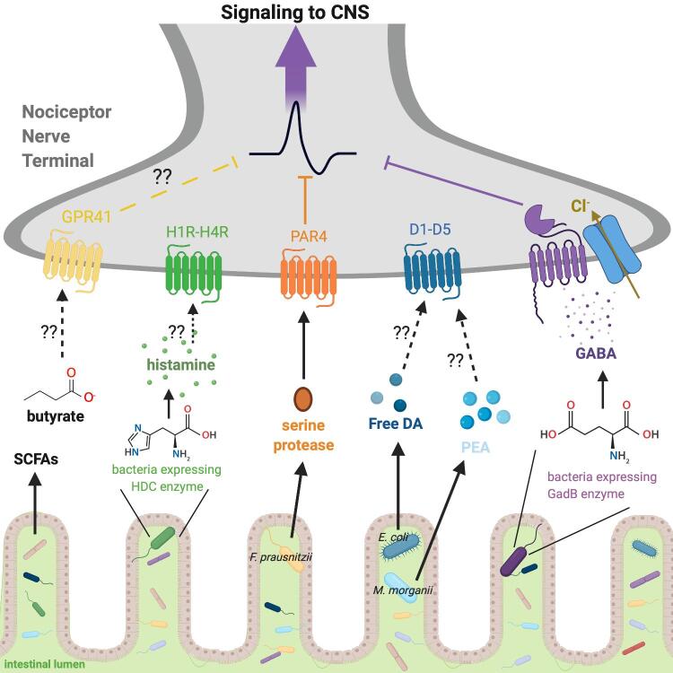 Fig 4