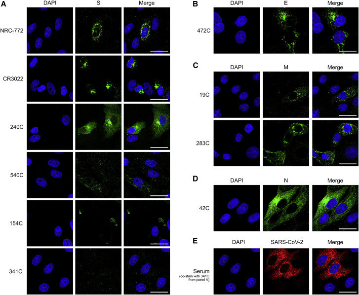 Figure 2