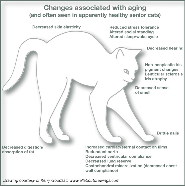 graphic file with name 10.1016_j.jfms.2009.07.011-fig1.jpg