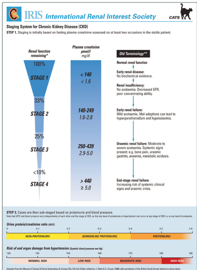 graphic file with name 10.1016_j.jfms.2009.07.011-fig9.jpg