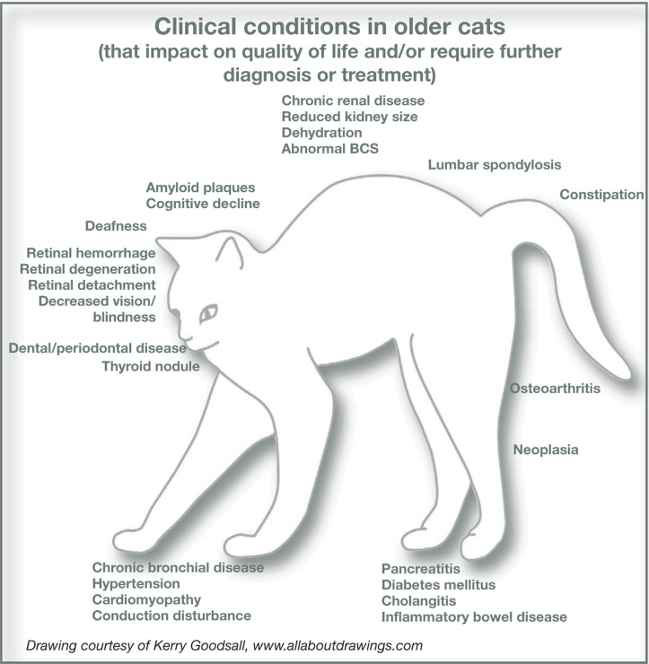 graphic file with name 10.1016_j.jfms.2009.07.011-fig7.jpg