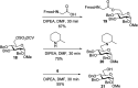 Scheme 6