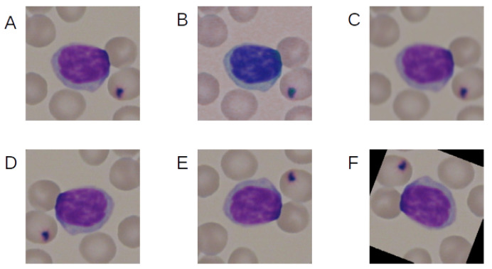 Figure 4