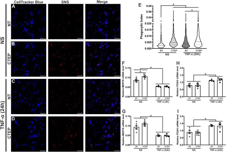 Figure 4