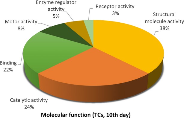 Figure 9