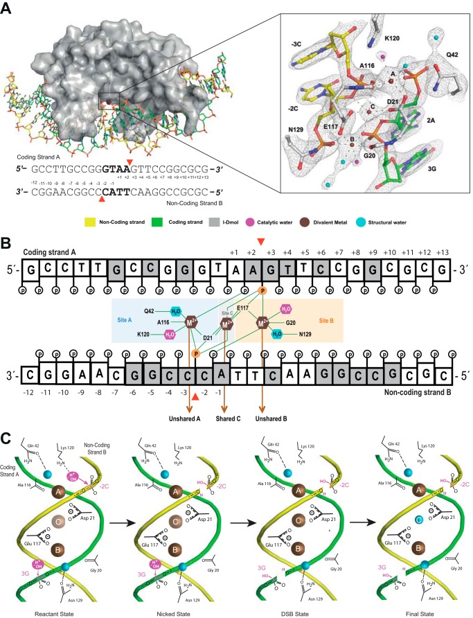 FIGURE 1.