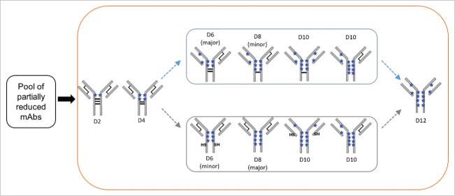 Figure 9.