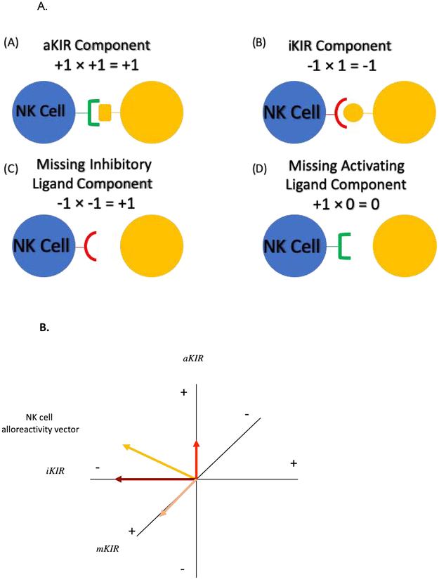 Figure 1A.