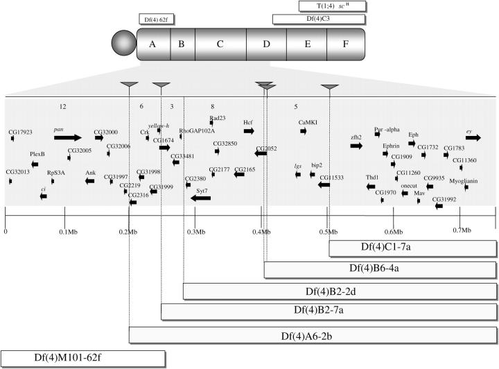 Figure 5.—