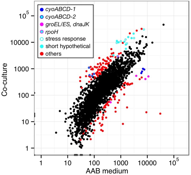 Figure 3.