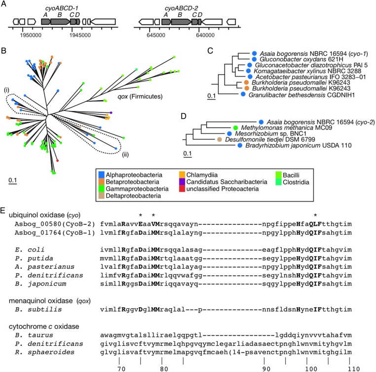 Figure 4.