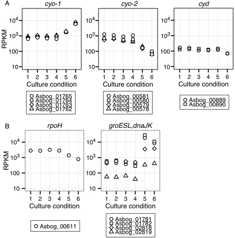 Figure 5.