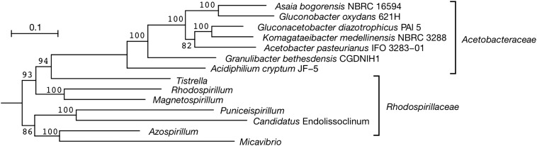 Figure 2.