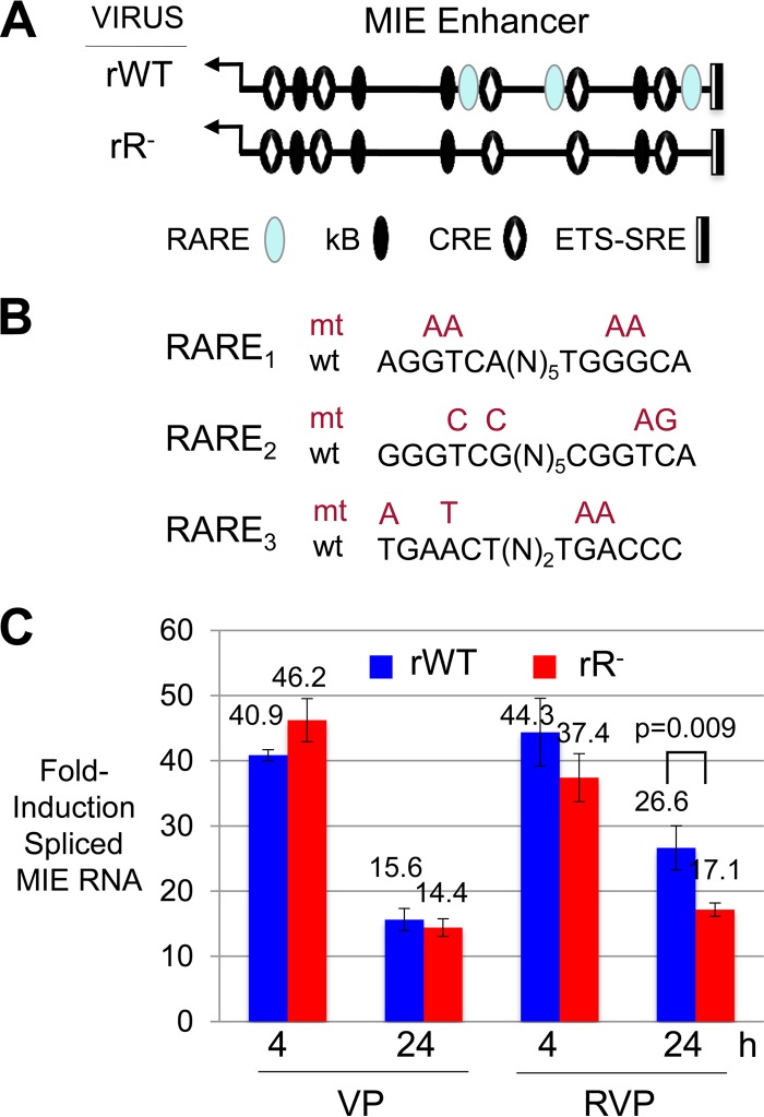 FIG 4