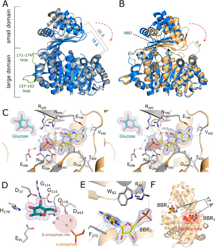 Figure 2.