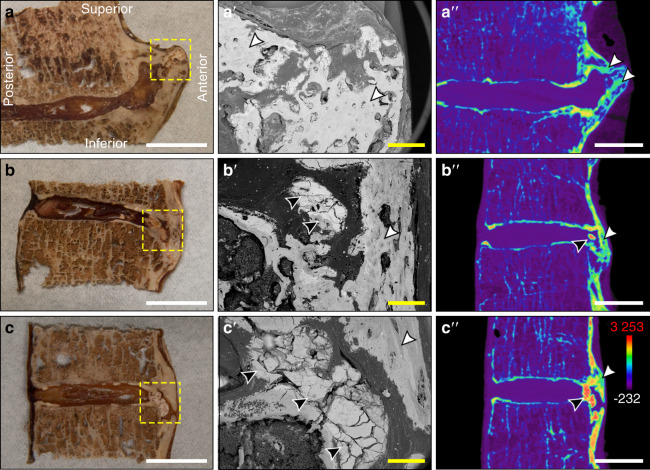 Fig. 6