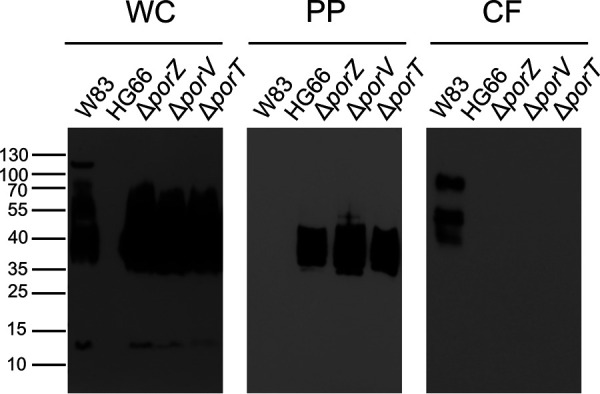 FIG 2