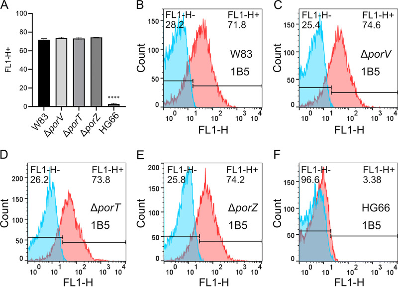 FIG 3