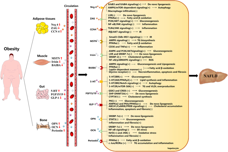 Figure 1