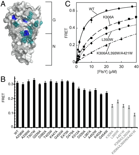 Fig. 2.