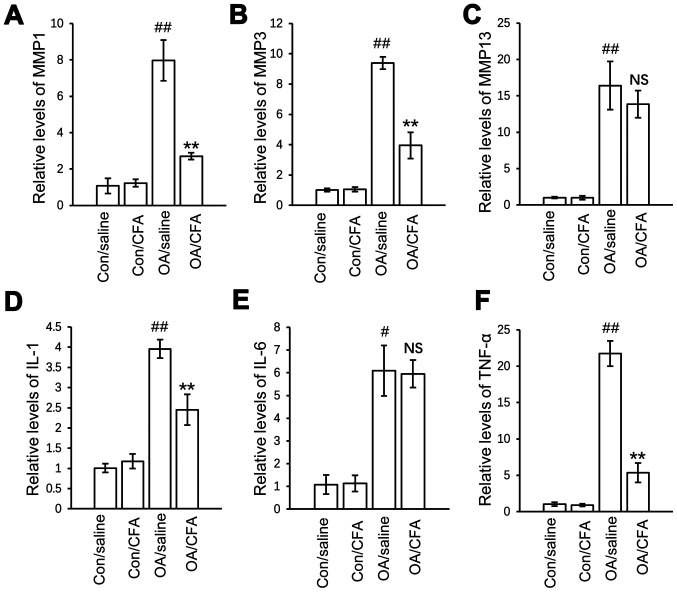 Figure 5.