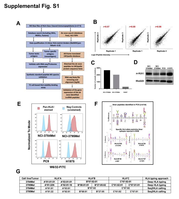 Supplemental Figure S1