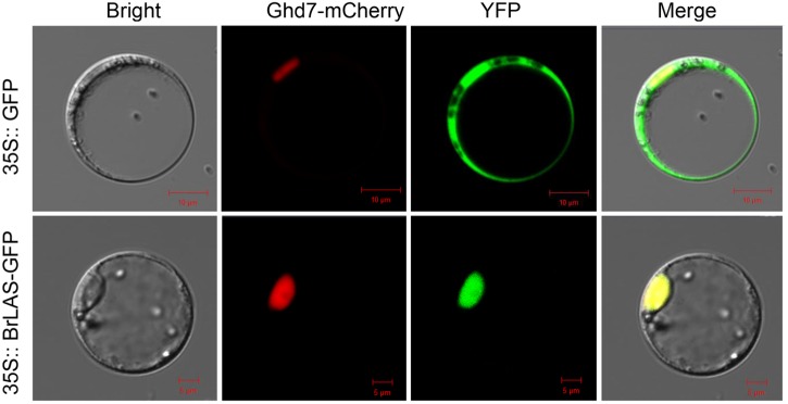 FIGURE 3