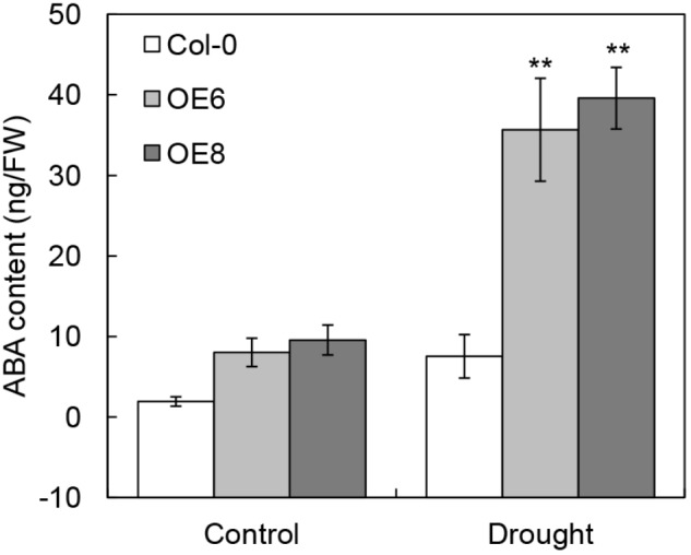 FIGURE 9