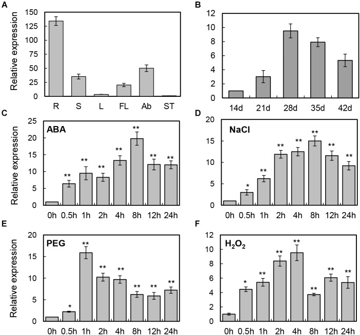 FIGURE 2