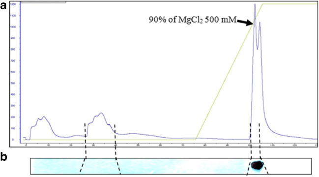 Fig. 6