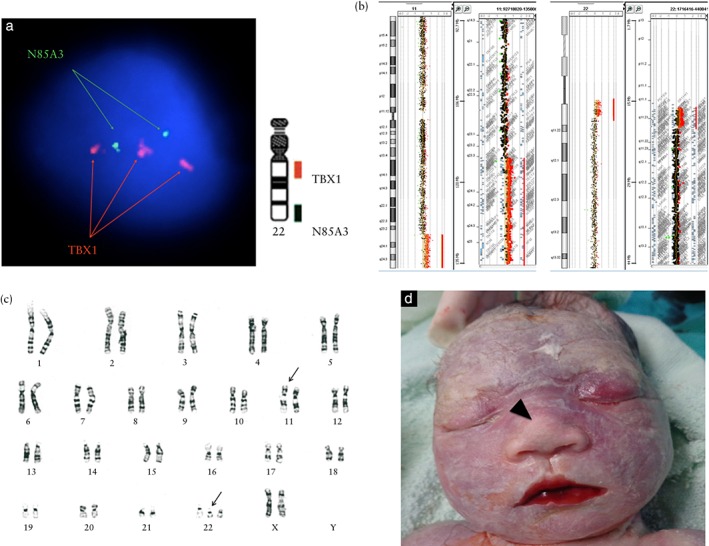 UOG-15965-FIG-0002-c