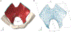 Figure 2–