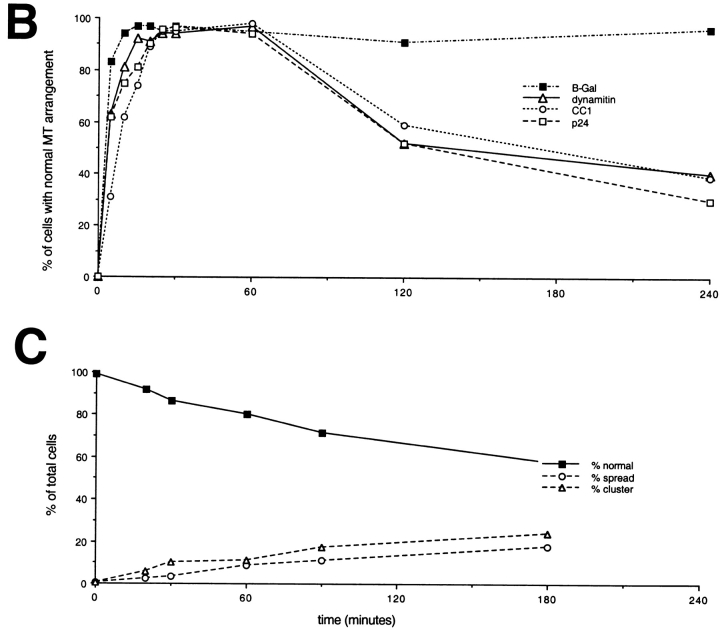 graphic file with name JCB9907129.f8bc.jpg