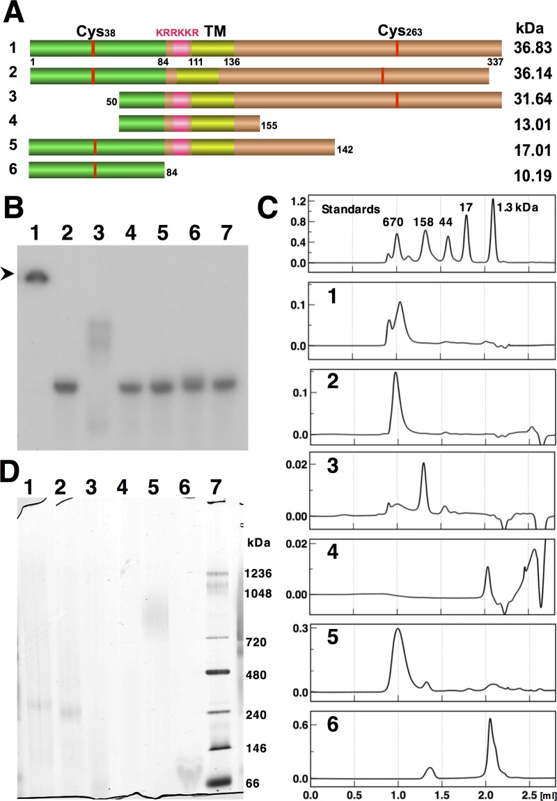 Fig 2