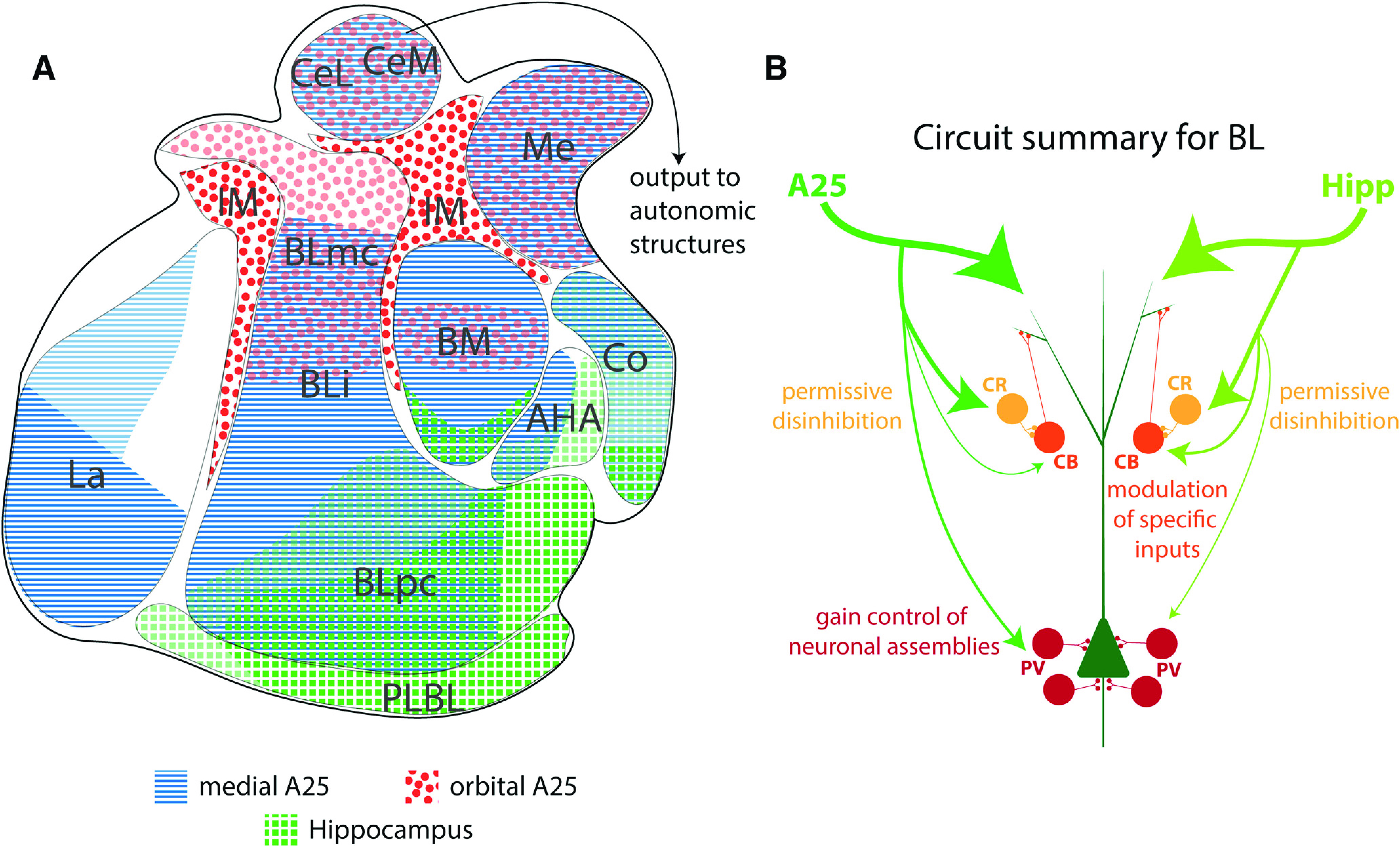 Figure 12.