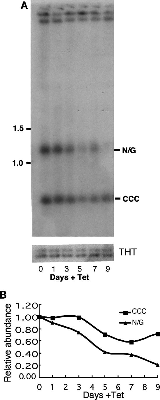 FIG. 8.