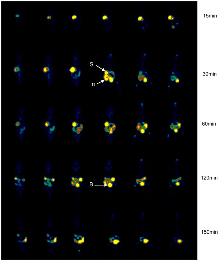 Figure 7