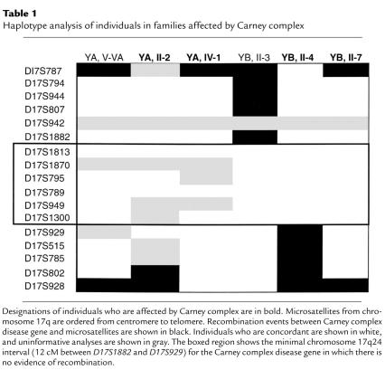 graphic file with name JCI0010841.t1.jpg