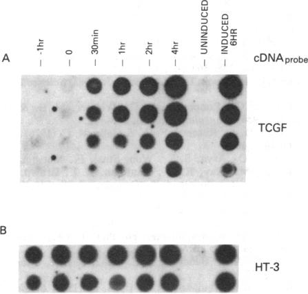 graphic file with name pnas00617-0217-b.jpg