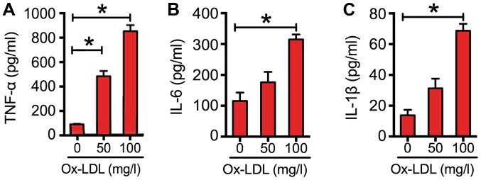 Figure 2.