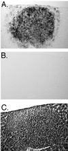 FIG. 5