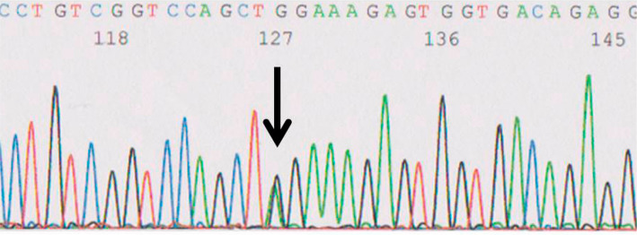 Figure 5.