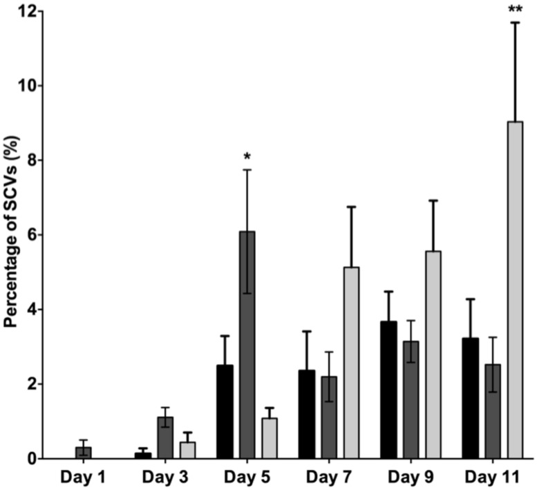 FIGURE 6