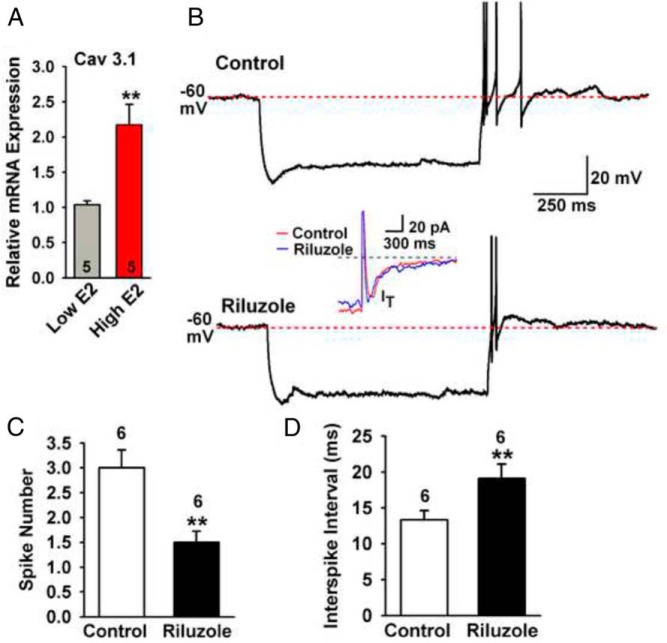 Figure 4.