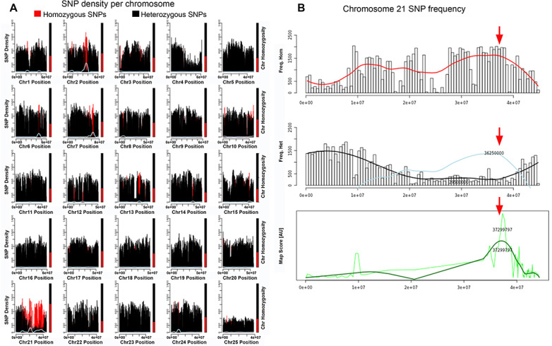 Figure 3—figure supplement 1.