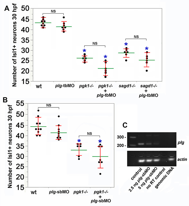 Figure 4—figure supplement 6.