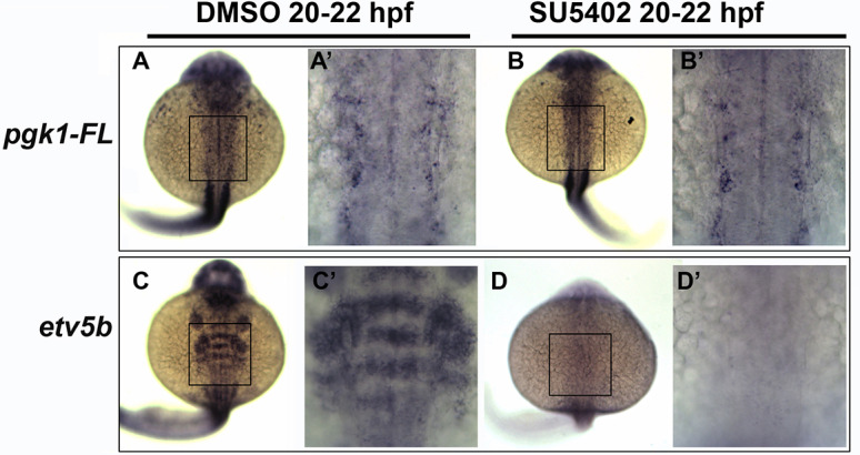 Figure 4—figure supplement 5.