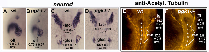 Figure 4—figure supplement 3.