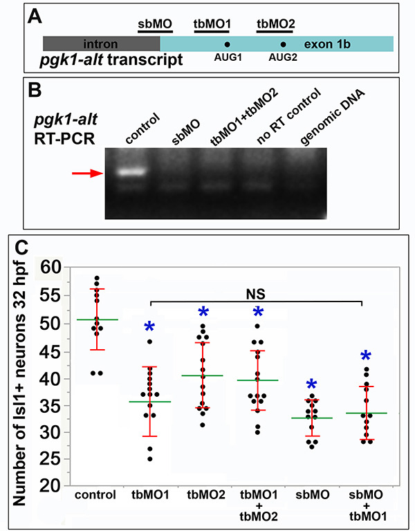 Figure 3—figure supplement 3.