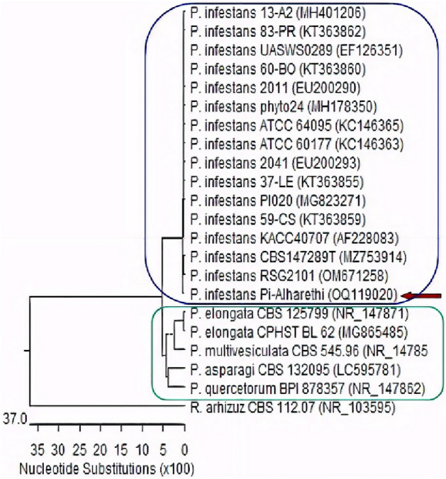 Figure 5